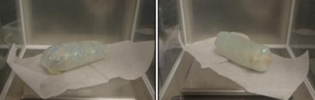 fentanyl Recovered from Body Cavity (Contributed/CBP)
