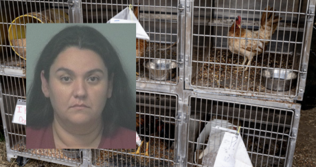 Natalia Cosyleon Arrested