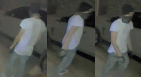 Car Burglary Suspect