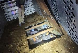Illegal migrants Hidden Under Cattle Trailer Floor (Contributed/CBP)