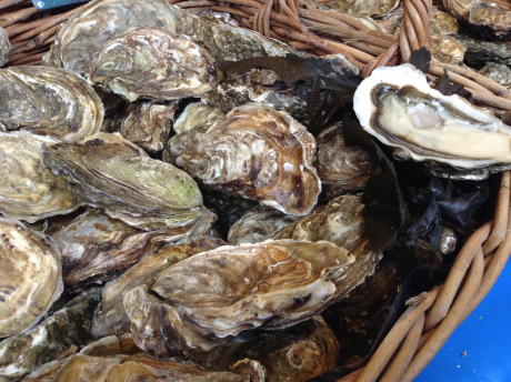 Texas Oysters (Contributed/TPWD)