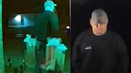 Serial Porch Pirate
