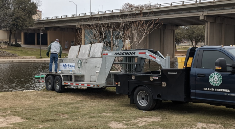 Stocking Concho River with Trout