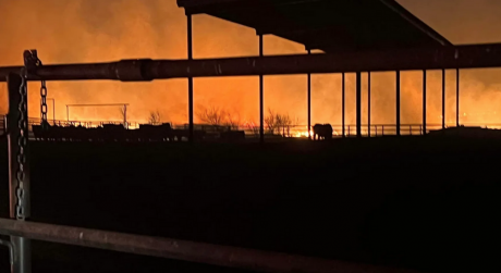 Cedar Hills Wildfire 1/11/23 (Courtesy/R.A. Brown Ranch)