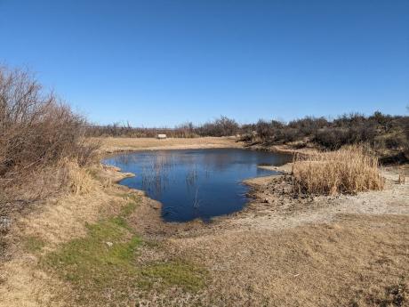 Javelina Draw San Angelo State Park 1.18.23 (Courtesy SASP)