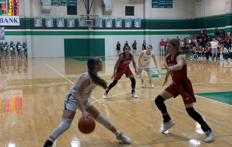Lady Hawks' Brylyn Watts