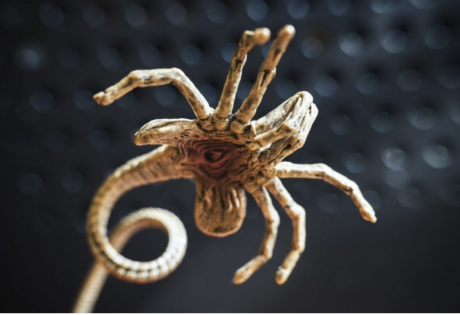 Alien Xenomorph from Movie:  Not Actual Invasive Species (Courtesy/Threatpost)