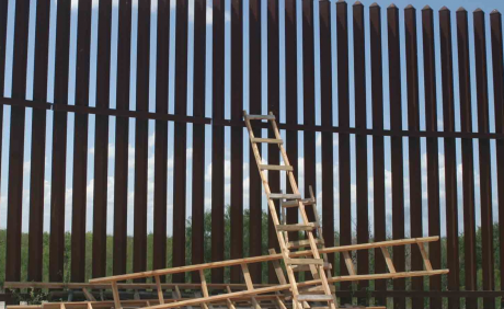 Border Wall Ladder (Courtesy/Vice)