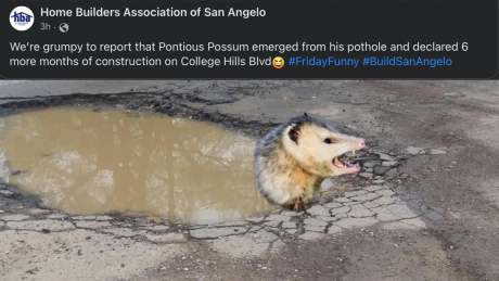 Pontious Possum of College Hills