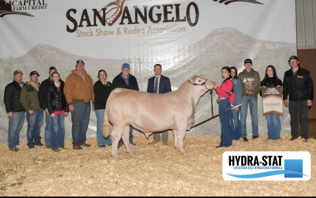Berkley Bird - 2023 San Angelo Market Steer Grand Champion
