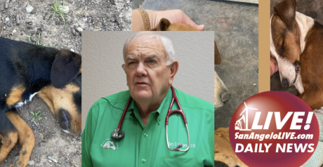 LIVE Daily News | LIVE EXCLUSIVE: Dr. Gary Hodges and the Three Poisoned Puppies