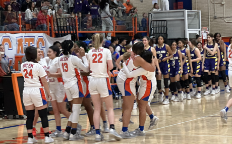 Lady Cats