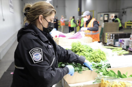 Valentines Day Flowers Inspection (Courtesy/CBP)
