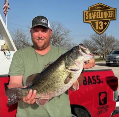 Kevin Winchester 13.08 lb O.H.Ivie ShareLunker Bass Courtesy/TPWD)
