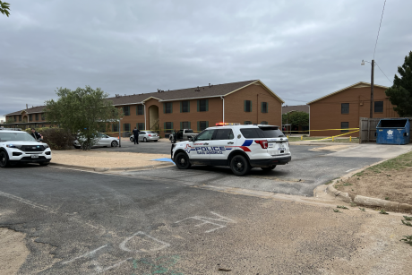 Shooting at Lillie Street Apartments
