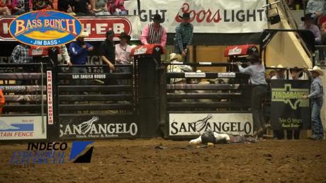 Bull Rider Knocked Unconscious