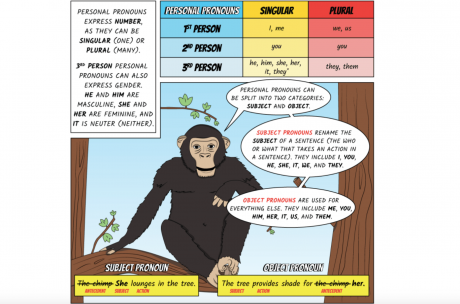 Chimp Pronouns (Courtesy/Super ELA)