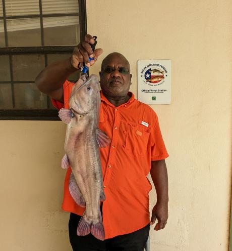 Captain Michael Peterson's Catfish (Courtesy/Inland Fisheries)