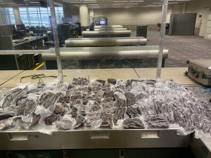 83 Pounds of Illegal African Dried Beef (Courtesy/CBP)