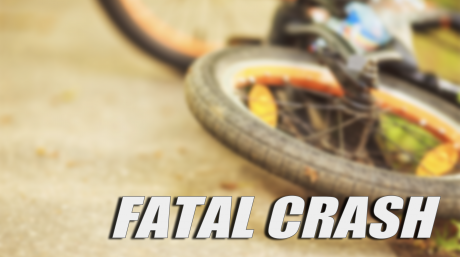 Fatal Crash Bicycle