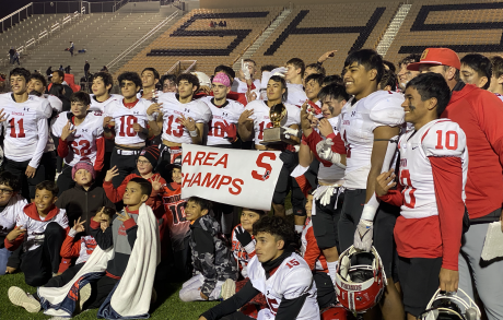 The Sonora Broncos are Area Champs!