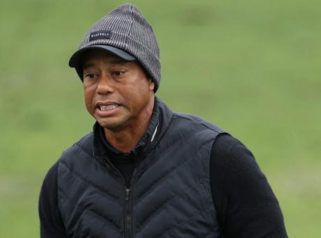 Tiger in pain