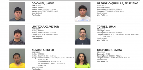 Illegal Immigrants Arrested in TGC 1.29.24 (Courtesy TGCSO)