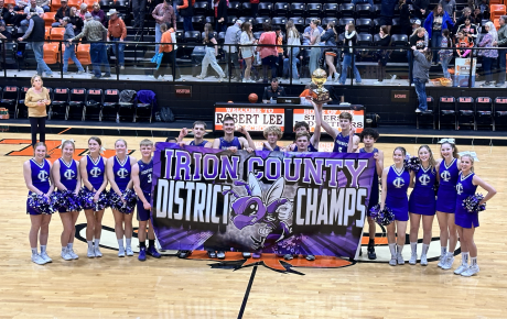 Irion County Hornets are District Champs!