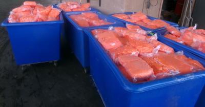2900 lbs of Meth Hidden in Carrots Courtesy CBP