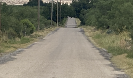 July Search for Silver Week 2 Clue 1