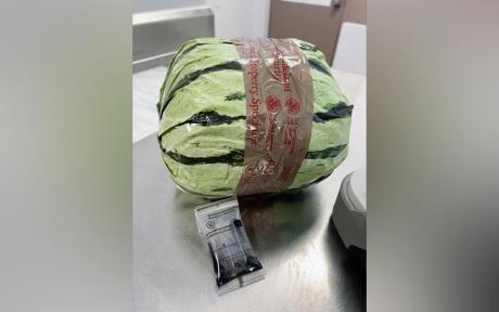 CBP Officers Find $5 Million Worth of Meth Disguised as Watermelons 