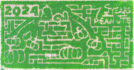 Circle S Corn Maze Partners with Peanuts to Celebrate 75th Anniversary