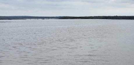 O.H. Ivie has seen a total rise of 5.7 feet and an increase of 44,700 acre feet from the recent rain.
