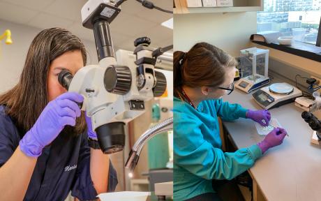 DPS Highlights Crime Laboratory Division During National Forensic Science Week