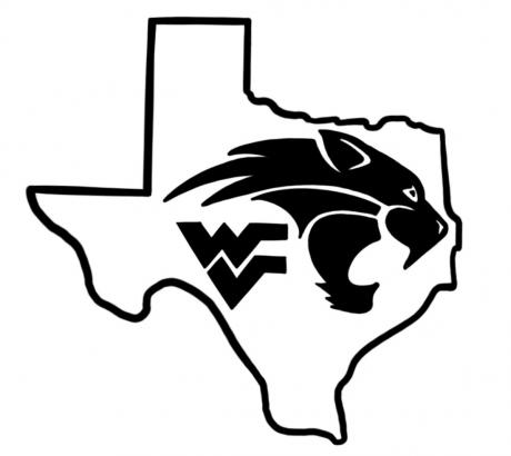 Water Valley Wildcats logo