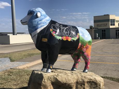 “Peaceful Ewe” is displayed in front of Shaffer Funeral Home at 1939 Sherwood Way. The fiberglass sheep was designed by local artist Zoe Flores.