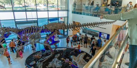 ASU Night at the Museum