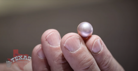 The rare Concho Pearl, a natural pink-hued gem found only in the rivers and lakes around San Angelo, was featured on The Texas Bucket List. The show highlighted Legend Jewelers, a downtown San Angelo business known for crafting jewelry from the pearls.