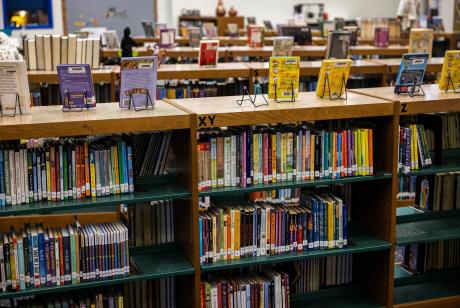 Library File Photo by The Texas Tribune