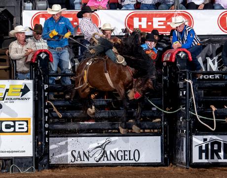 Dirty Jacket, a Hall of Fame bucking horse that's been competing for 17 years, was honored at the San Angelo Rodeo on Saturday night.