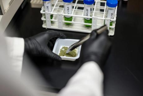 The Texas Senate advanced a bill Tuesday that will expand the conditions eligible for the state’s medical marijuana program.