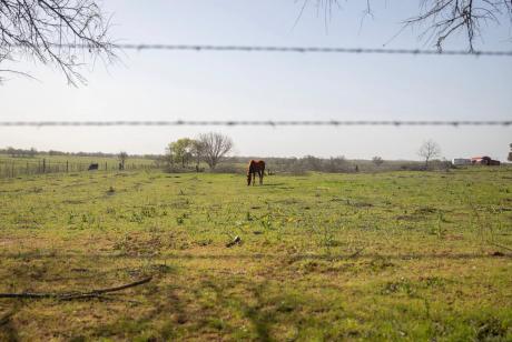 The Texas House has approved the negotiated version of a bill that aims to ban people tied to the governments of China, North Korea, Russia and Iran from purchasing land in the state.