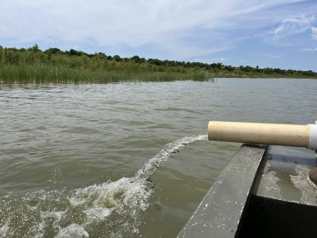Ballinger Lake was stocked with approximately 50,000 “Lone Star Bass” on Tuesday, according to the Texas Parks and Wildlife Department.