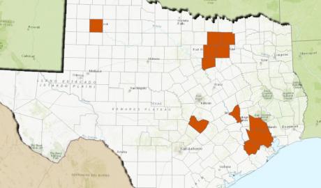 Texas West Nile Cases Doubles in 72 Hours