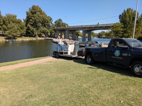 Channel catfish were stocked into the Concho River in downtown San Angelo on Friday for the second-to-last time this year.