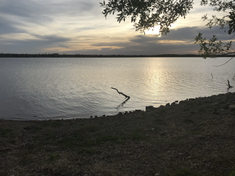 A recent electrofishing survey at Lake Winters showed an abundance of largemouth bass, according to the Texas Parks and Wildlife Department.