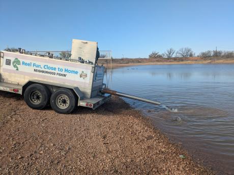 Lakes around the area are being stocked with rainbow trout over the next few months, according to the Texas Parks and Wildlife Department.