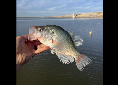 O.C. Fisher Reservoir, which continues to recover after falling below 1% capacity, was stocked with white crappie Wednesday.