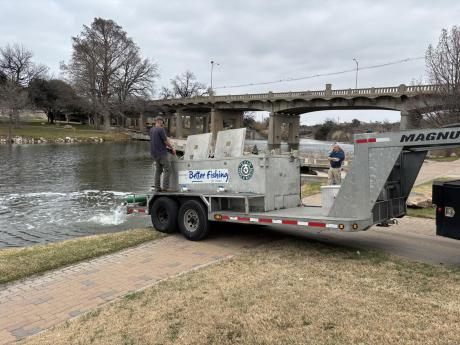 More than 700 rainbow trout were stocked in the Concho River downtown Friday, Feb. 20, by the Texas Parks and Wildlife Department in the final planned trout stocking of the season.