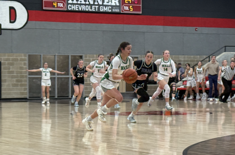 Wall Lady Hawks' Jewels Johnson